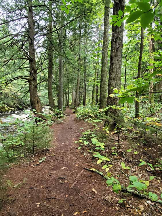 trail